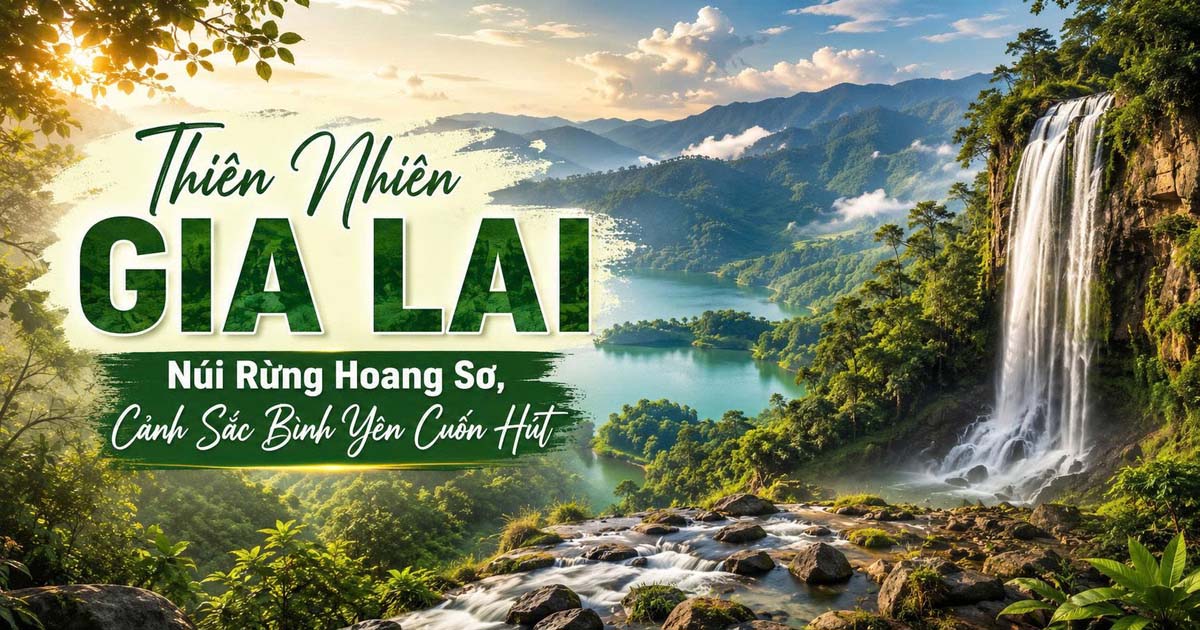 Thiên Nhiên Gia Lai – Núi Rừng Hoang Sơ, Cảnh Sắc Bình Yên Cuốn Hút